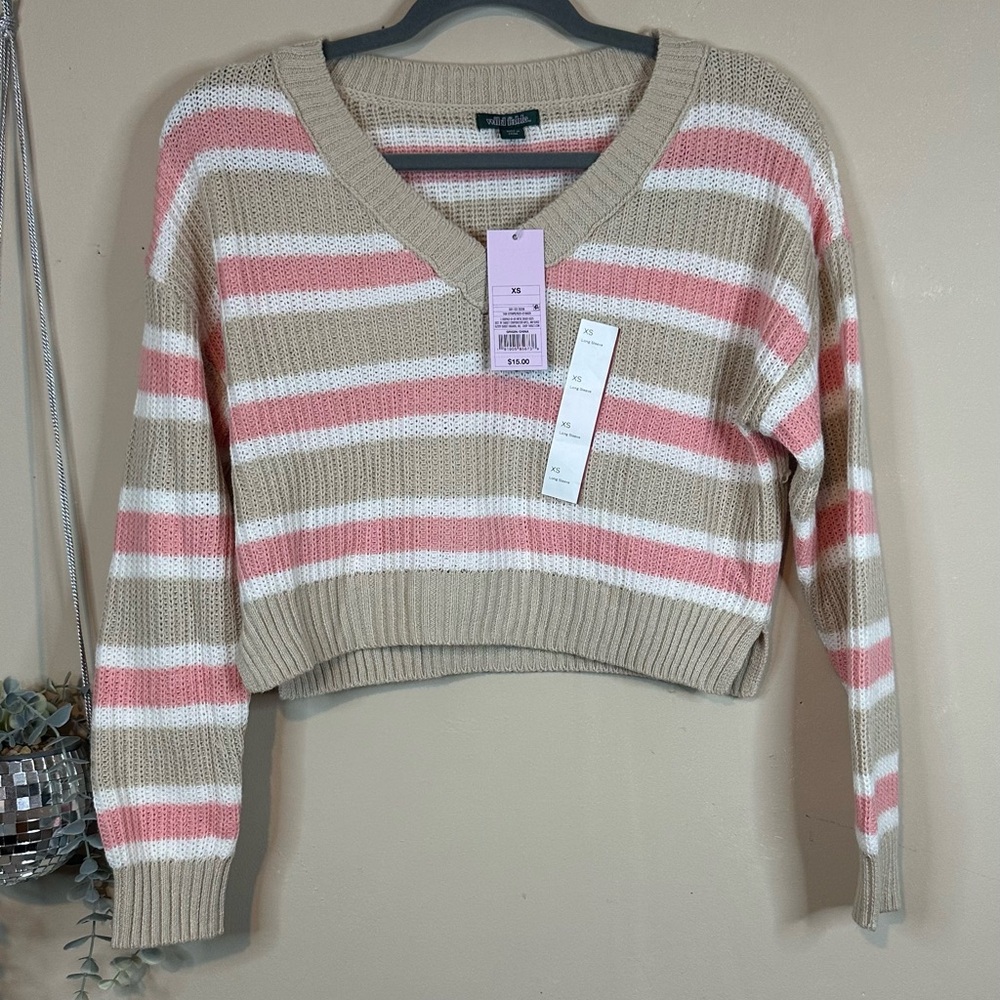 Nwt xs Pink and Tan Striped V-Neck Sweater wild fable